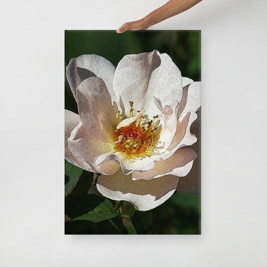 Canvas white flower