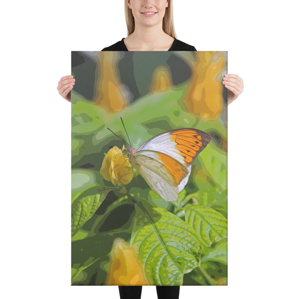 Canvas orange white butterfly