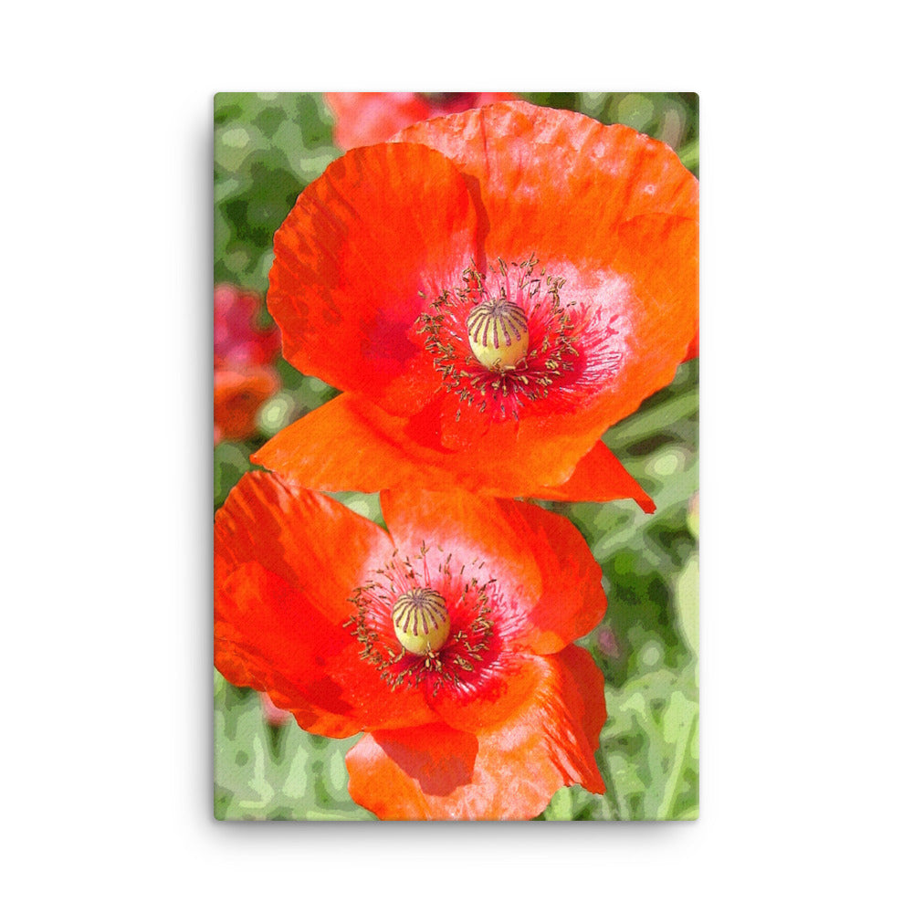 Canvas poppies