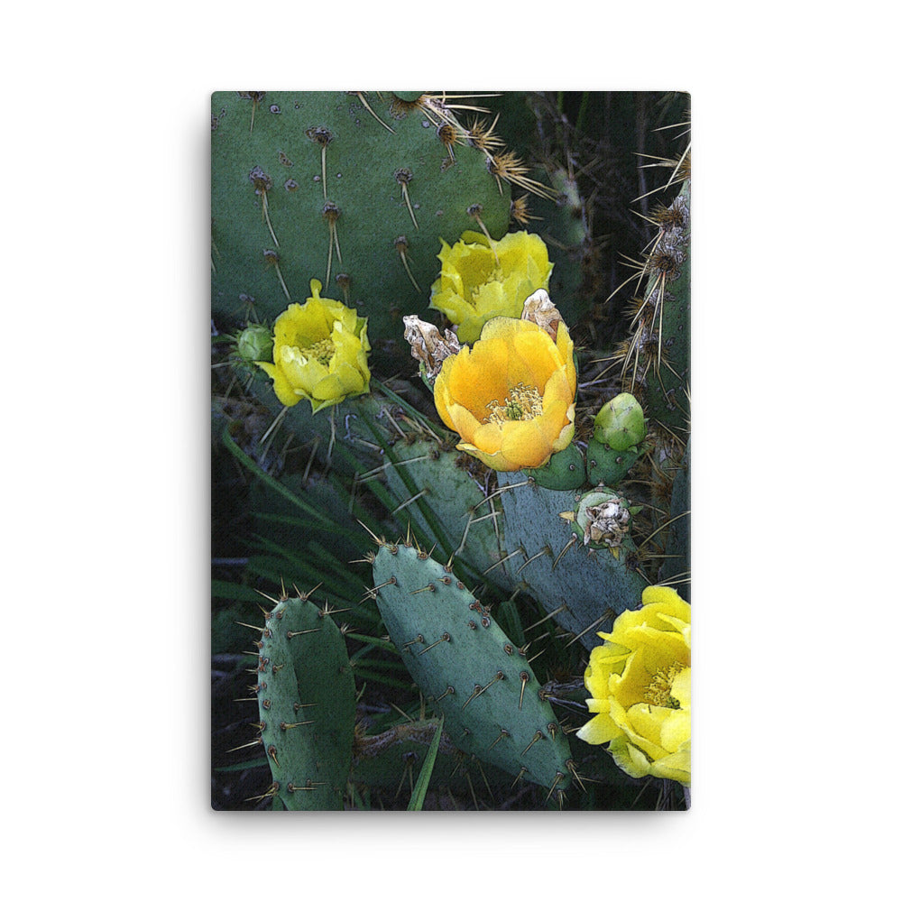 Canvas yellow cactus