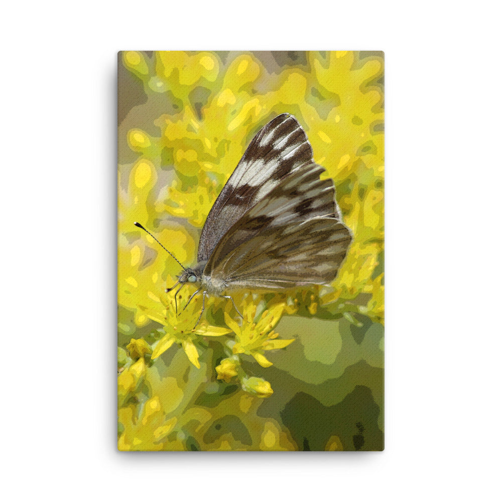 Canvas butterfly yellow flower