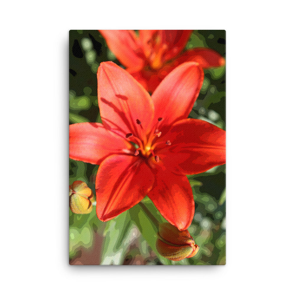 Canvas red orange lily