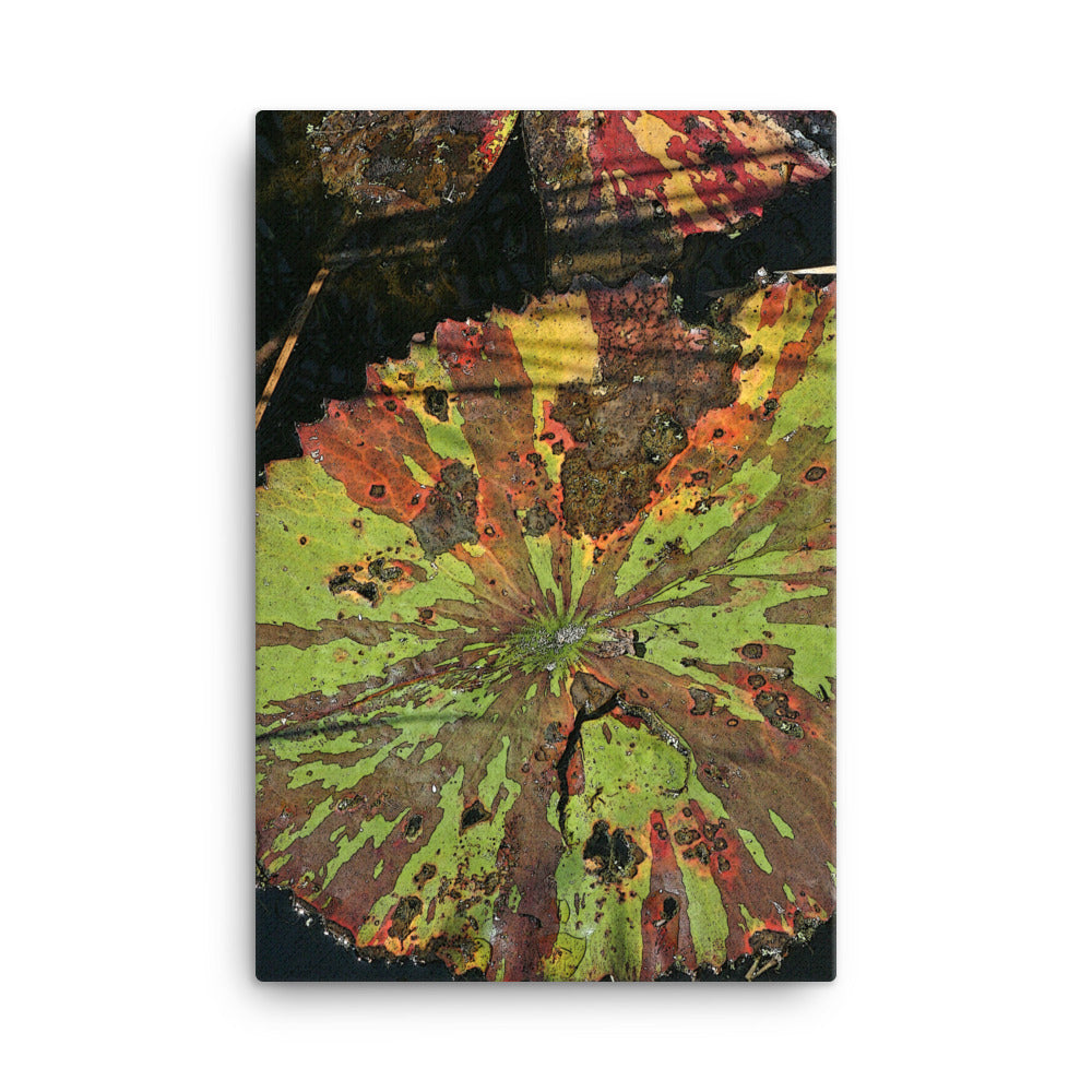 Canvas multi colored lily pads