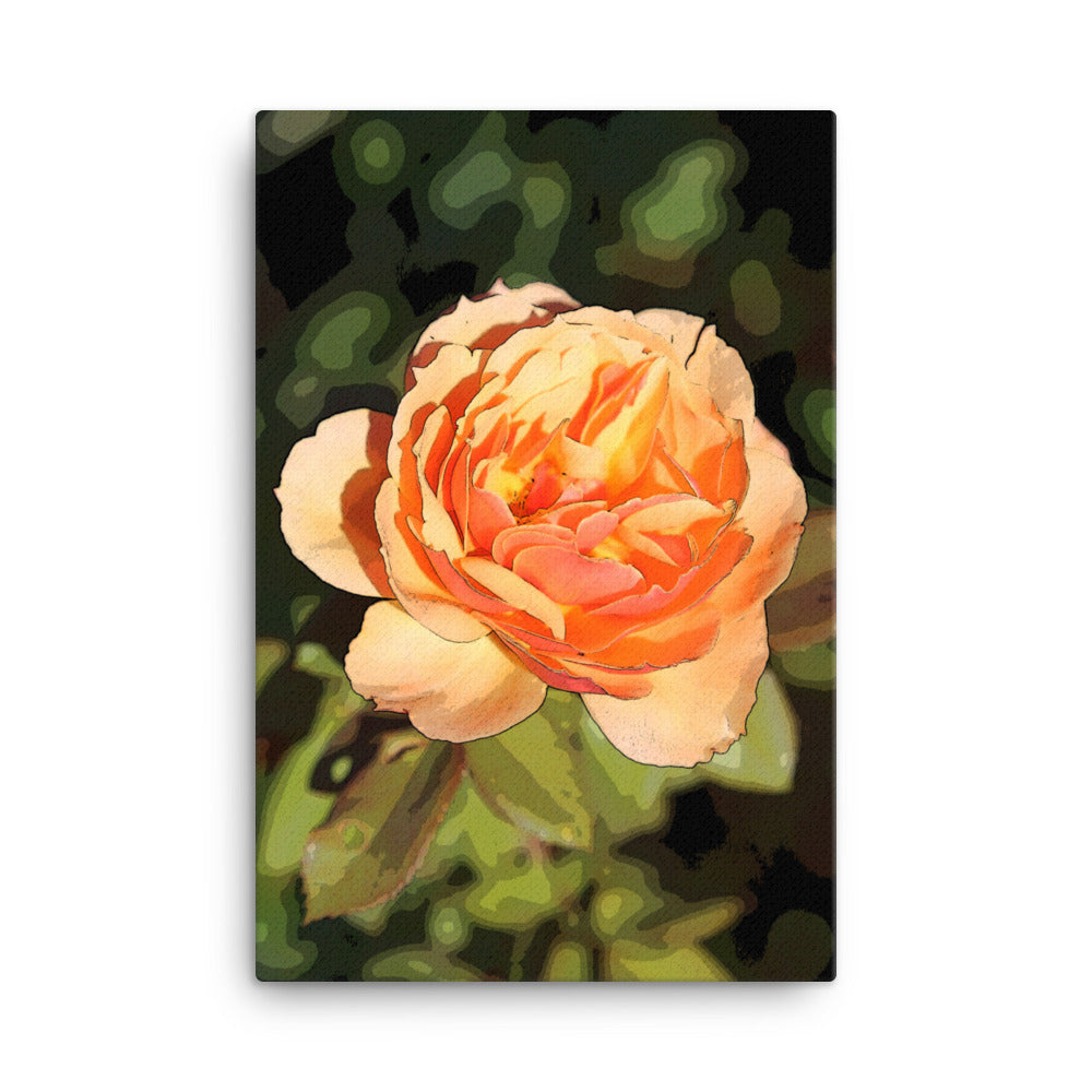 Canvas peach rose