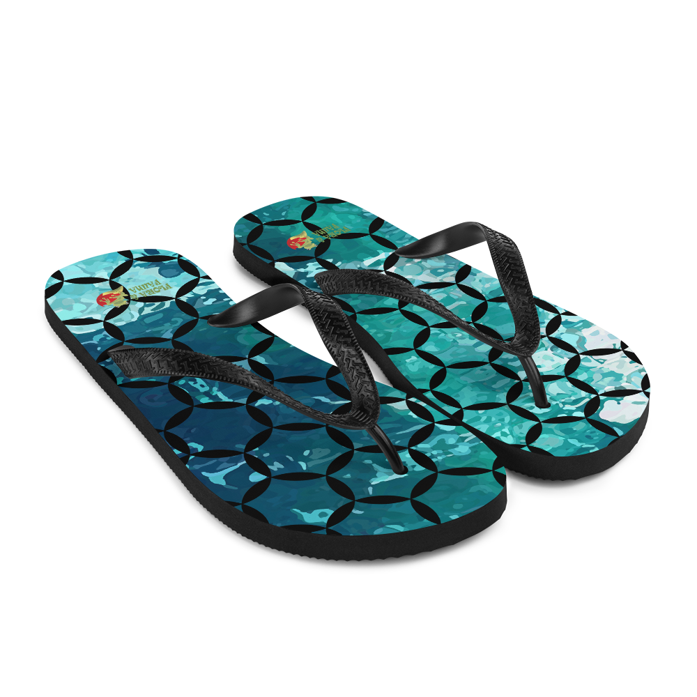 Flip-Flops