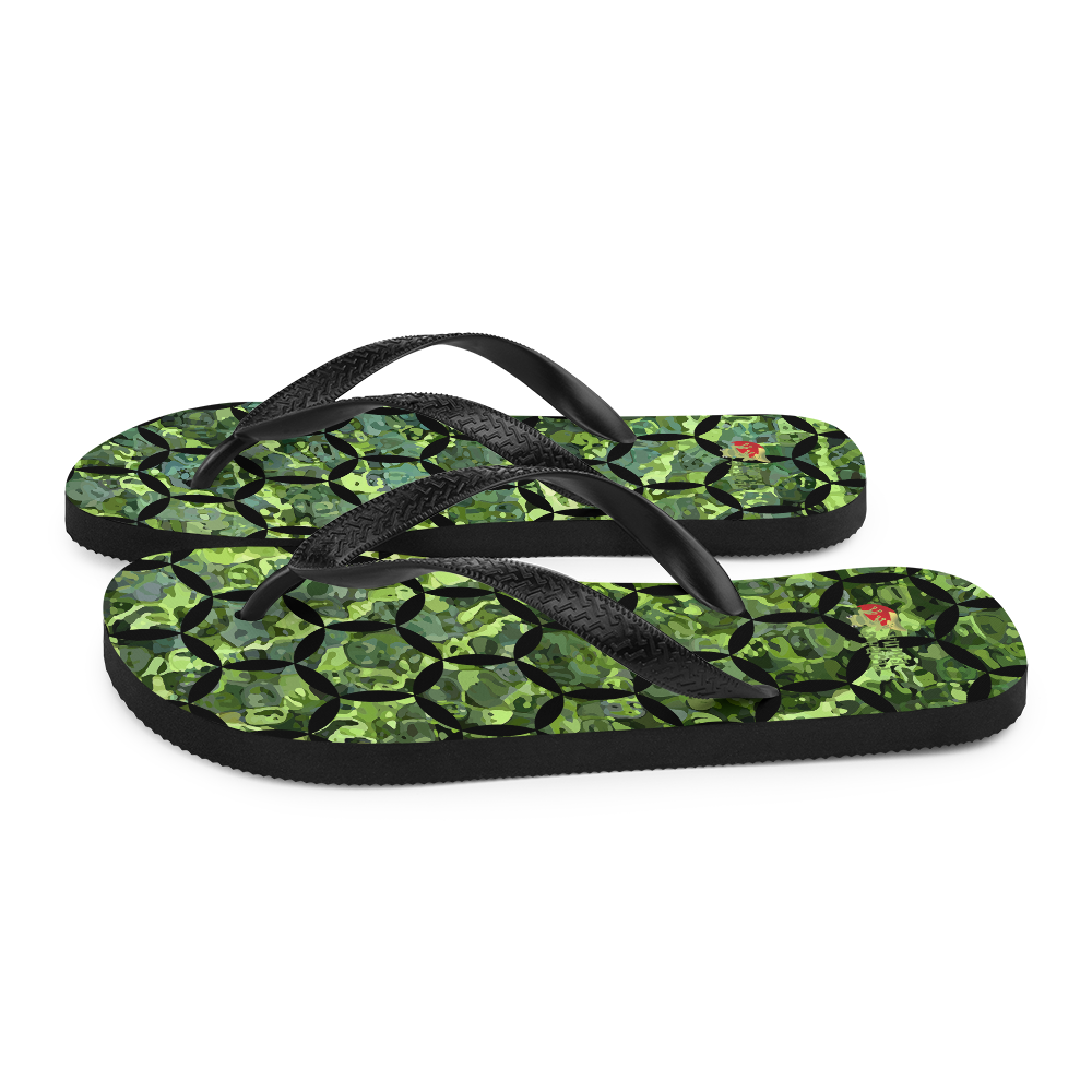 Flip-Flops